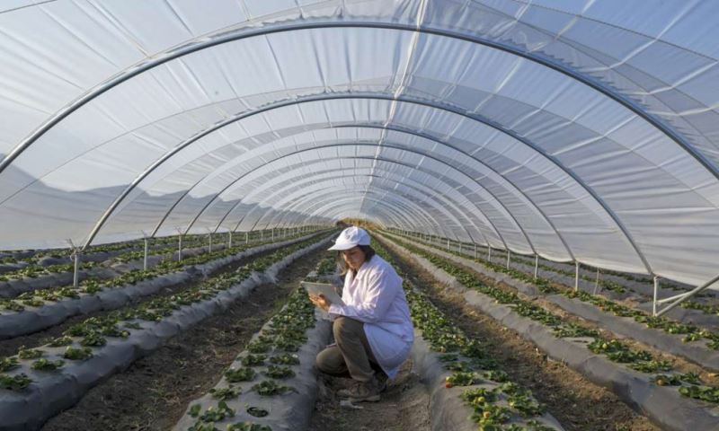 La Agricultura Sostenible – El Único Futuro de la Agricultura
