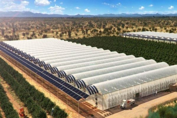 La Nueva Revolución de la Agricultura. Sol y Agua Salada