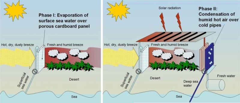 La Nueva Revolución de la Agricultura. Sol y Agua Salada