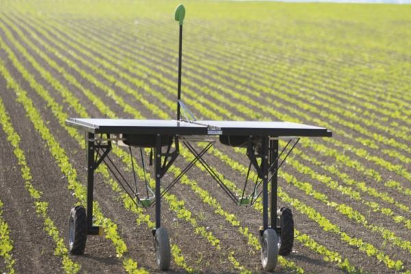 Robots, ¿el futuro de la agricultura?