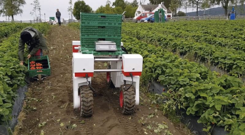 Robots, ¿el futuro de la agricultura?