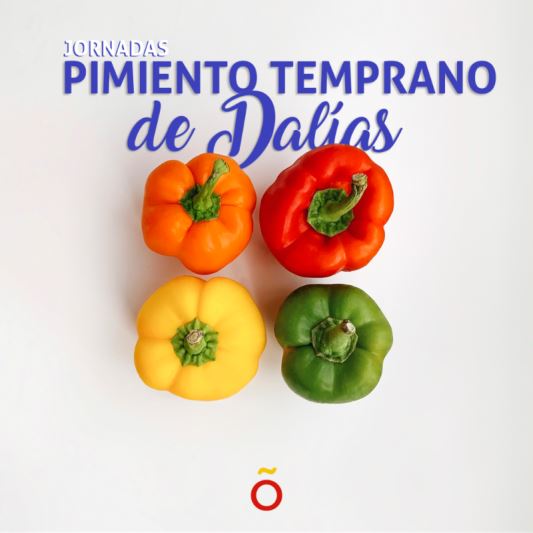 Escobi participa en las IV Jornadas de Pimiento Temprano de Dalías