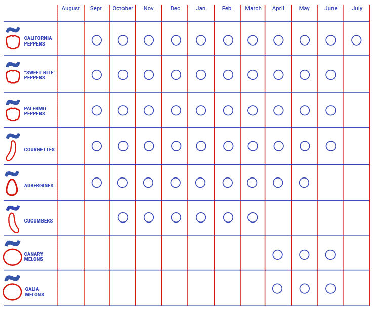 Global Calendar