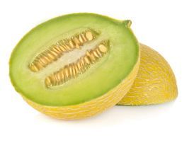 MELON GALIA