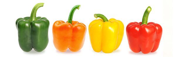 GREEN, ORANGE, YELLOW AND RED CALIFORNIA PEPPERS